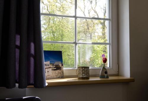a window with a flower vase on a window sill at Ferienhaus Strandmuschel am Ostseestrand Zierow in Zierow