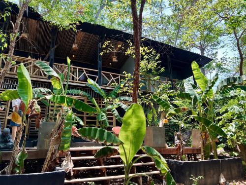 a building in the jungle with plants in front of it at Hostel-Island Paradise, Saboga Lodge and Villa Noelia in Panama City