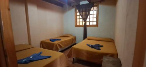 a room with two beds with blue sheets and a window at Hostal Dulces Sueños in Panajachel