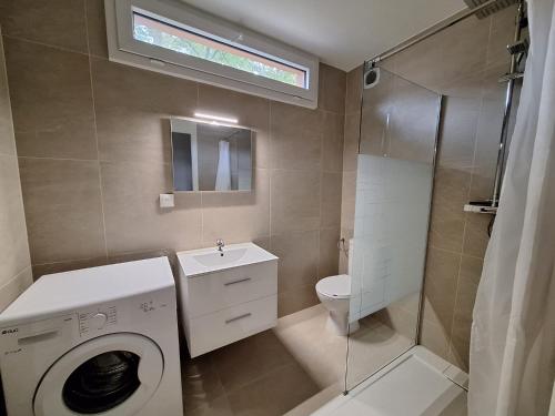 La salle de bains est pourvue d'un lave-linge et de toilettes. dans l'établissement Grand appartement lumineux au cœur de Thonon, à Thonon-les-Bains