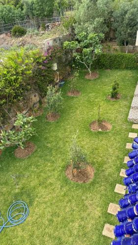 a garden with a bunch of plants in the grass at La Perla Montaña Tanger in Tangier