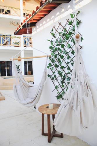 Φωτογραφία από το άλμπουμ του Casa Pachamama σε San Blas