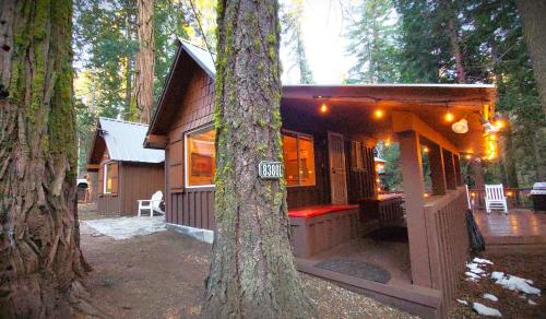 a small cabin in the woods with a tree at Sequoia Splendor, inside Kings Canyon NP by Visitors Center in Wilsonia