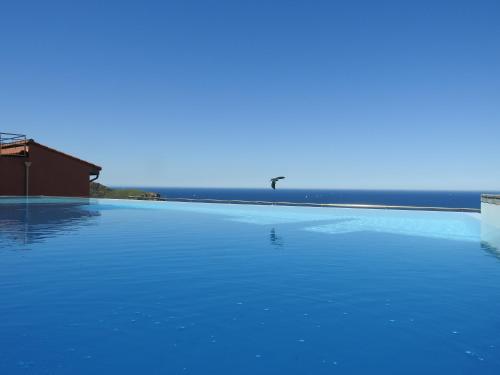 a bird flying over a large blue swimming pool at Appartement avec vue exceptionnelle sur mer in Cerbère