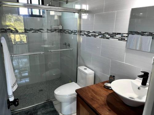 a bathroom with a shower and a toilet and a sink at Acogedor apartamento con hermosa vista al volcán - The Goat Spot - planta alta in Alto Boquete