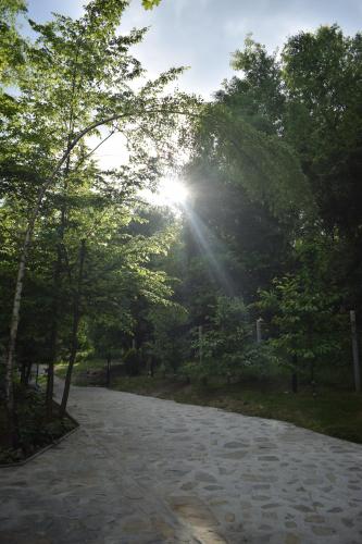 a sun shining through the trees on a path at Hacienda domek całoroczny z jacuzzi w lesie pod Rzeszowem in Strzyżów