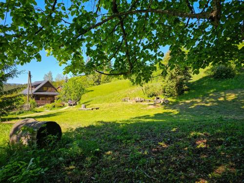 a green hill with a house and a tree at Chalupa Štrčková - srdce Valašska in Vsetín