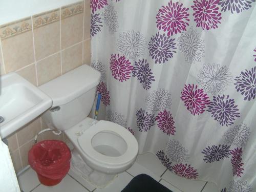 y baño con aseo y cortina de ducha. en Hostel Tadeo San Juan del Sur en San Juan del Sur