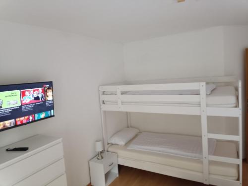 a bedroom with a bunk bed and a tv at Ferienwohnung Latscha - 2 Zimmer Wohnung mit Klimaanlage,Balkon, Kinderspielplatz in Ettenheim
