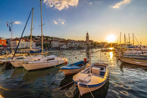 a group of boats docked in a harbor at sunset at Central Ana Sutivan in Sutivan