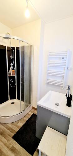 une salle de bain avec une douche en verre et un lavabo dans l'établissement Appartement Standing 110m2 lumineux, Clim, balcons, à Perpignan