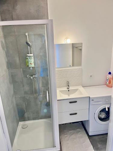 La petite salle de bains est pourvue d'une douche et d'un lavabo. dans l'établissement Le Sixt - 2 lit double 1 canapé double - tram & métro, à Villeurbanne
