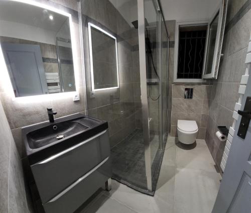 a bathroom with a sink and a shower and a toilet at Chambres privées dans Villa des Lauriers in Saint-Raphaël