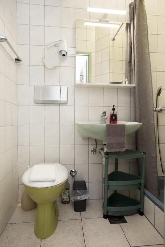 a bathroom with a green sink and a toilet at Apartmani Zukic in Risan