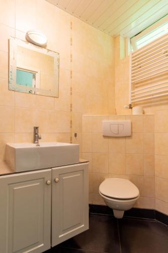 a bathroom with a sink and a toilet and a mirror at Hoefbos bungalow in Otterlo