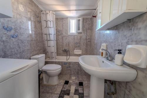 a bathroom with a white sink and a toilet at Anastasia's lemon garden in Artemida