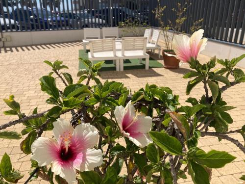 a bush with pink and white flowers next to a bench at ALOJAMIENTO TORROX PLAYA Centro de Ocio y Tiempo Libre in Torrox