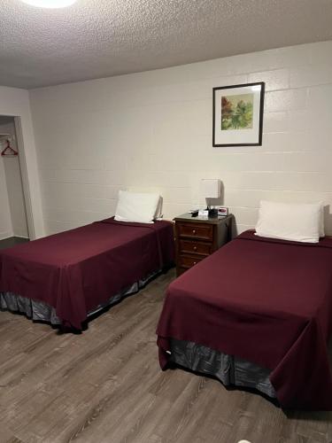 En eller flere senge i et værelse på Tip Top Motel