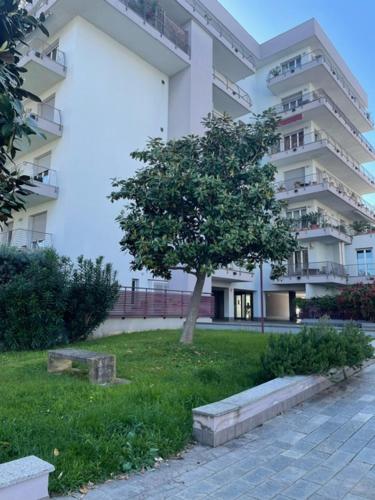 a tree in front of a large building at NORA House in Savona