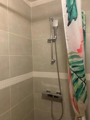 y baño con ducha y cortina de ducha. en Paris Jolie studio cosy en París