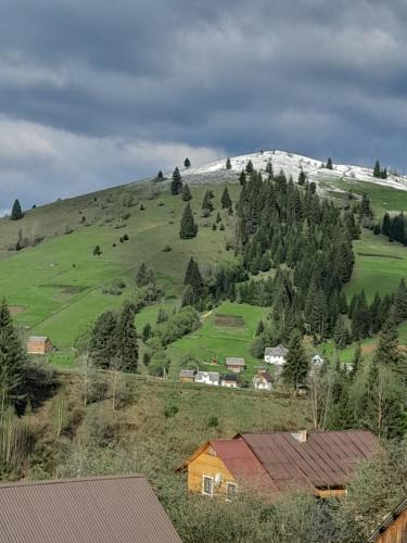 a view of a hill with trees and a house at Villa Filiak in Yablunytsya