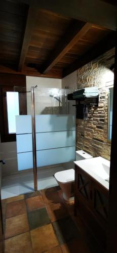 a bathroom with a shower and a toilet and a sink at Cueva les Pedroses in Ribadesella