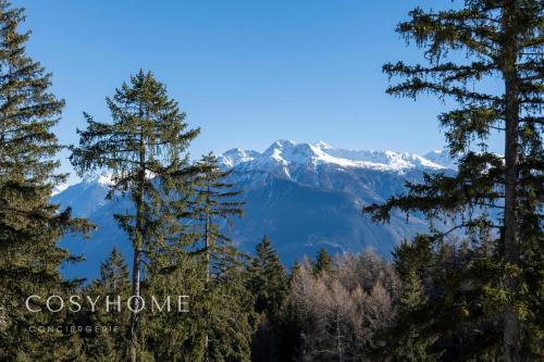a view of a snow covered mountain through trees at Le Saint Georges l Jardin et vue in Crans-Montana