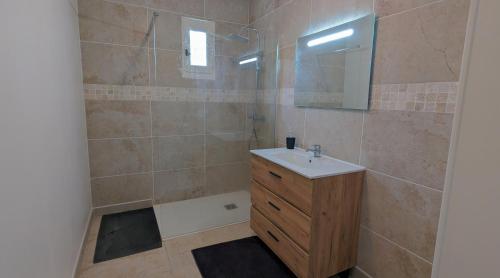 une salle de bain avec une douche avec un lavabo et un miroir dans l'établissement Charmante maison au calme, à Le Veurdre