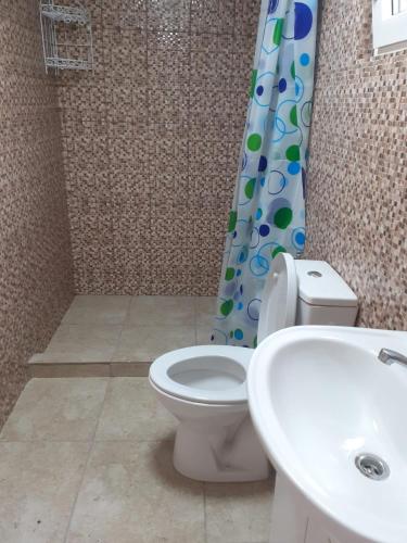 a bathroom with a toilet and a sink and a shower curtain at Pensiunea Pescărie La Nelu in Ohaba-Sibişel