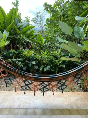 a garden with a large bowl of plants at Flat Camburi in Camburi