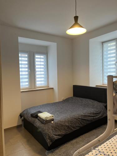 een slaapkamer met een bed en 2 ramen bij Ferienwohnung Louis in Gerolstein