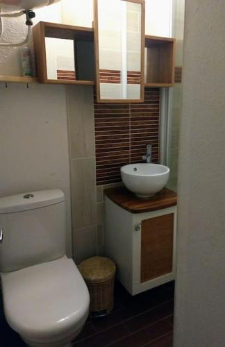 une petite salle de bain avec toilettes et lavabo dans l'établissement T2 pour 4 pers style chalet pied des pistes, à Bolquère-Pyrénées 2000