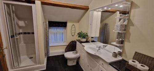 a bathroom with a toilet and a sink and a shower at Two bedroom character cottage in Rhuddlan