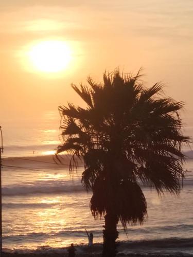 a palm tree on the beach at sunset at Hermosos Dptos Sunset Point Huanchaco in Huanchaco