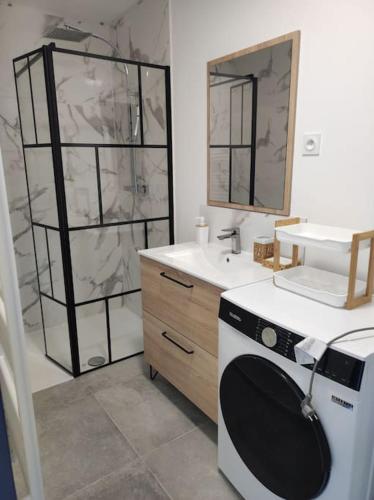 une salle de bain avec un lavabo et une machine à laver dans l'établissement Meublé Côte d'Opale, à Saint-Folquin
