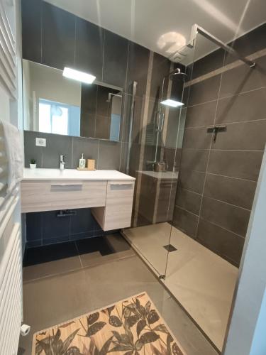 une salle de bain avec une douche, un lavabo et un miroir dans l'établissement T3 centre-ville avec parking, à Tours