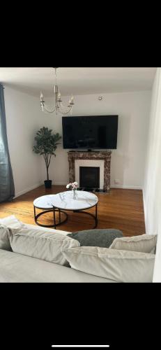 un salon avec une table et une cheminée dans l'établissement Appartement T2 plein centre, à Dijon