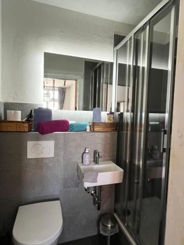 La salle de bains est pourvue de toilettes, d'un lavabo et d'une douche. dans l'établissement City Apartment, à Lübeck