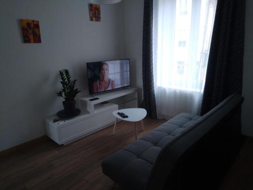 ein Wohnzimmer mit einem Sofa und einem TV in der Unterkunft Appartement F2 neuf in Jarville-la-Malgrange