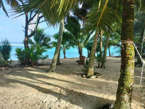 a beach with palm trees and a bench on the sand at Oronga Beach in Arorangi