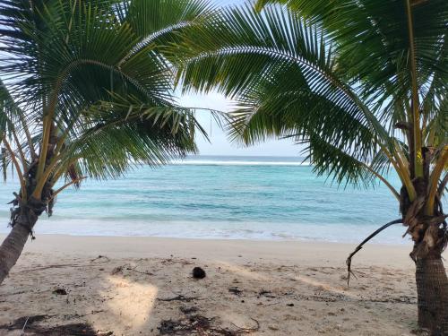 two palm trees on a beach with the ocean at Oronga Beach in Arorangi