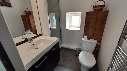 une salle de bain avec un lavabo et des toilettes et une fenêtre dans l'établissement Gîte Le Grenier de l'Oasis de Chamousset, à Brullioles