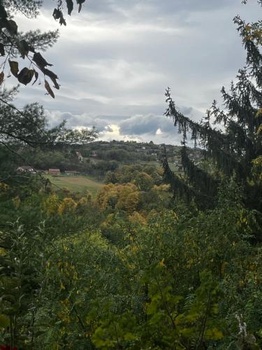 Paysage naturel près de la villa