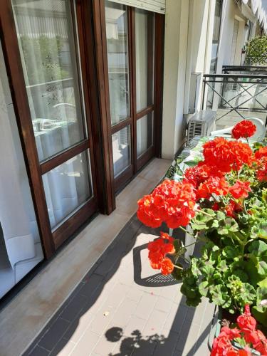 a bunch of red flowers sitting on a balcony at CASA DI IANA in Mestre