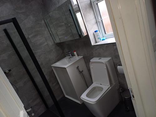 a bathroom with a toilet and a sink and a mirror at Budgeted Residence near Coventry Building Society (CBS) Arena with Parking in Exhall