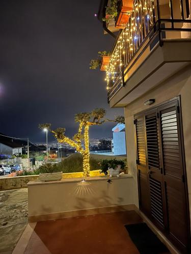 a lit up tree on the side of a building at Cerchia Apartments in Corbara