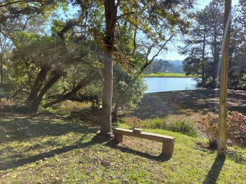 a park bench sitting under a tree next to a lake at Cabana de pesca e lazer Represa Usina Mafra sc in Mafra