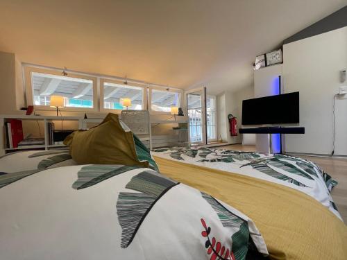 1 dormitorio con 2 camas y TV de pantalla plana en Loft-House - Maison Vigneronne Village UNESCO en Rivaz