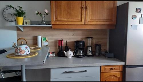 - une cuisine avec un comptoir et une cafetière dans l'établissement Habitación Privada, à Wolfisheim