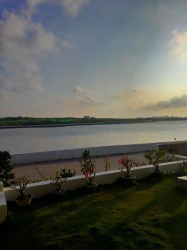 a view of a large body of water with potted plants at Rainbow Sea Bed and Breakfast in Huxi